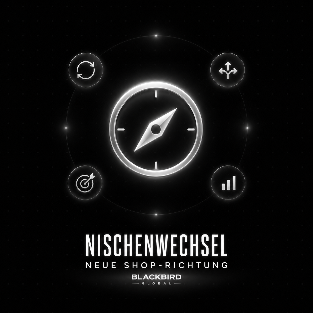 Nischenwechsel / neue Shop-Richtung