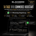 14 Tage Shopify Kickstart