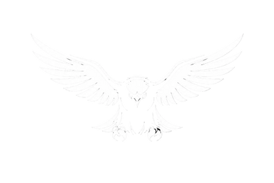 Black Bird Global